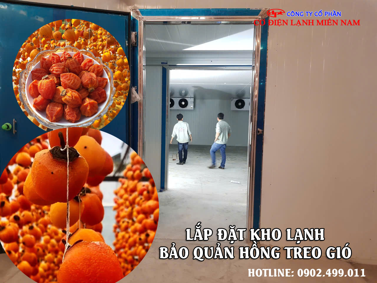 Lắp đặt kho lạnh bảo quản Hồng Treo Gió cần lưu ý điều gì