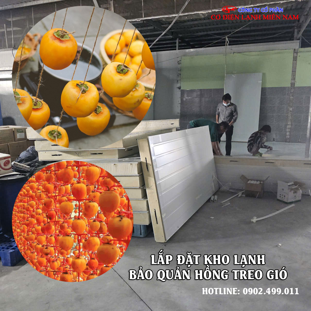 Hồng treo gió là gì?