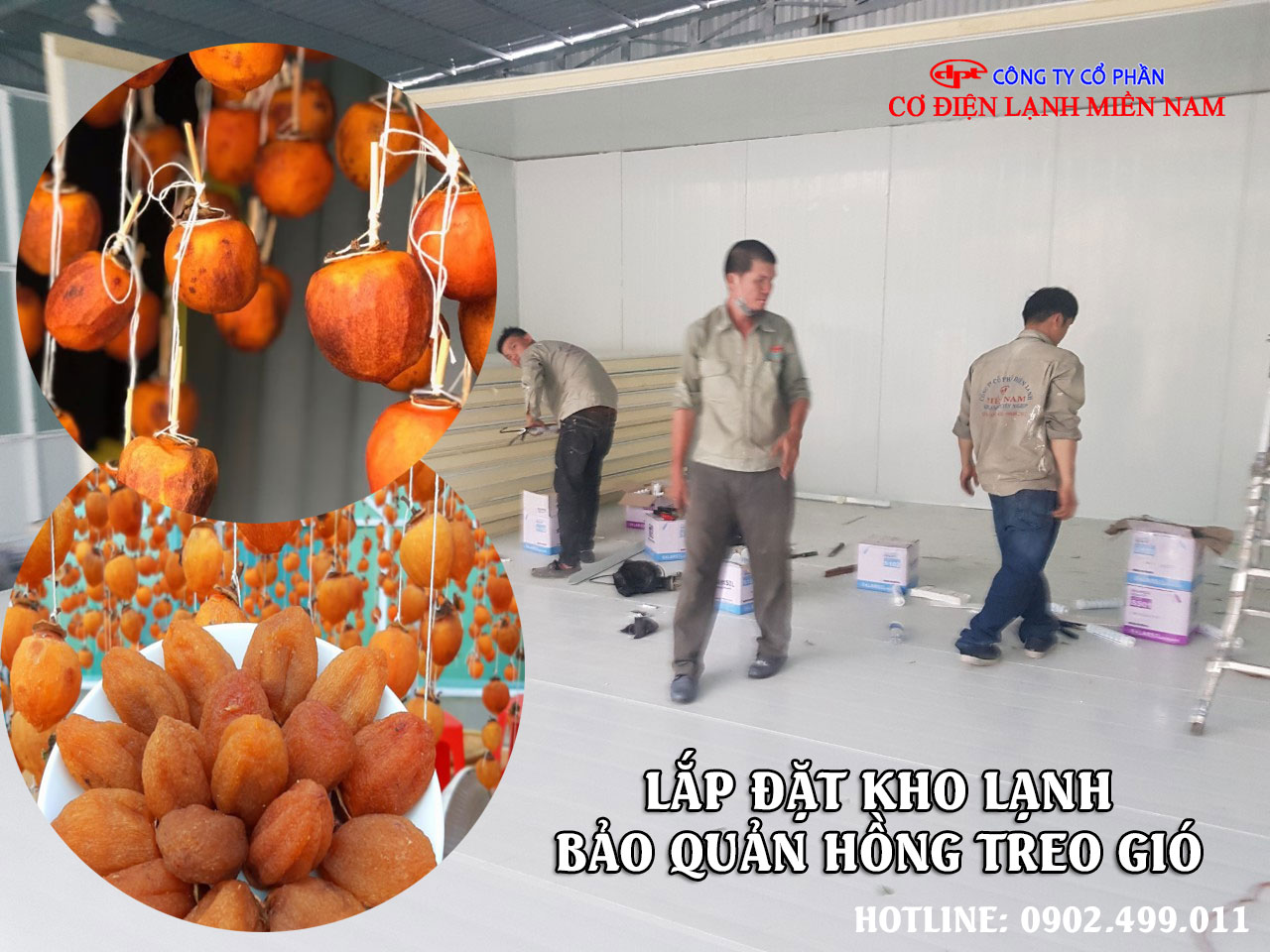 Giá trị dinh dưỡng của Hồng treo gió