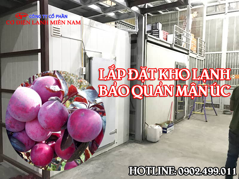 Lắp đặt kho lạnh bảo quản Quả Mận Úc - Hình 2
