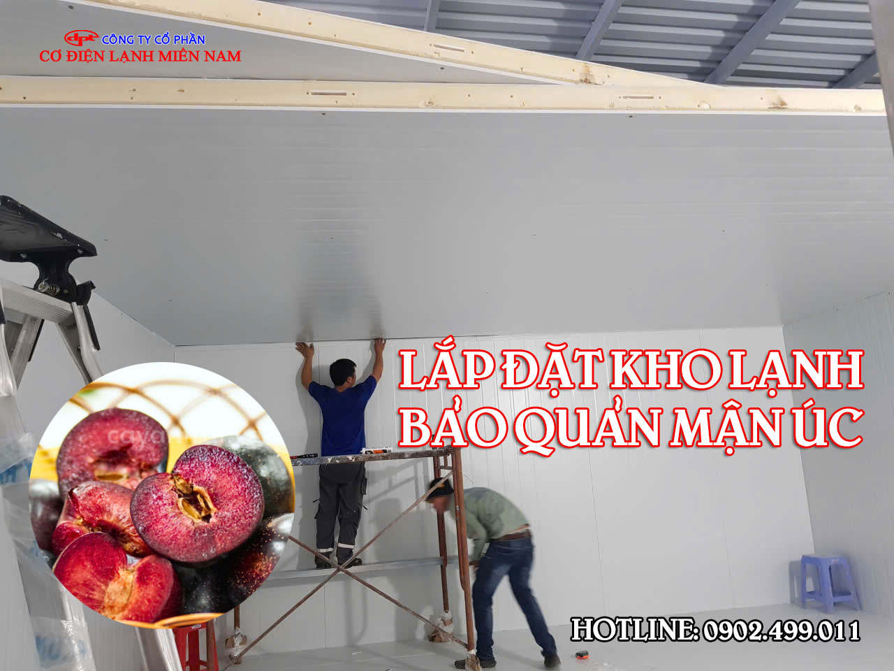 Lắp đặt kho lạnh bảo quản Quả Mận Úc - Hình 4