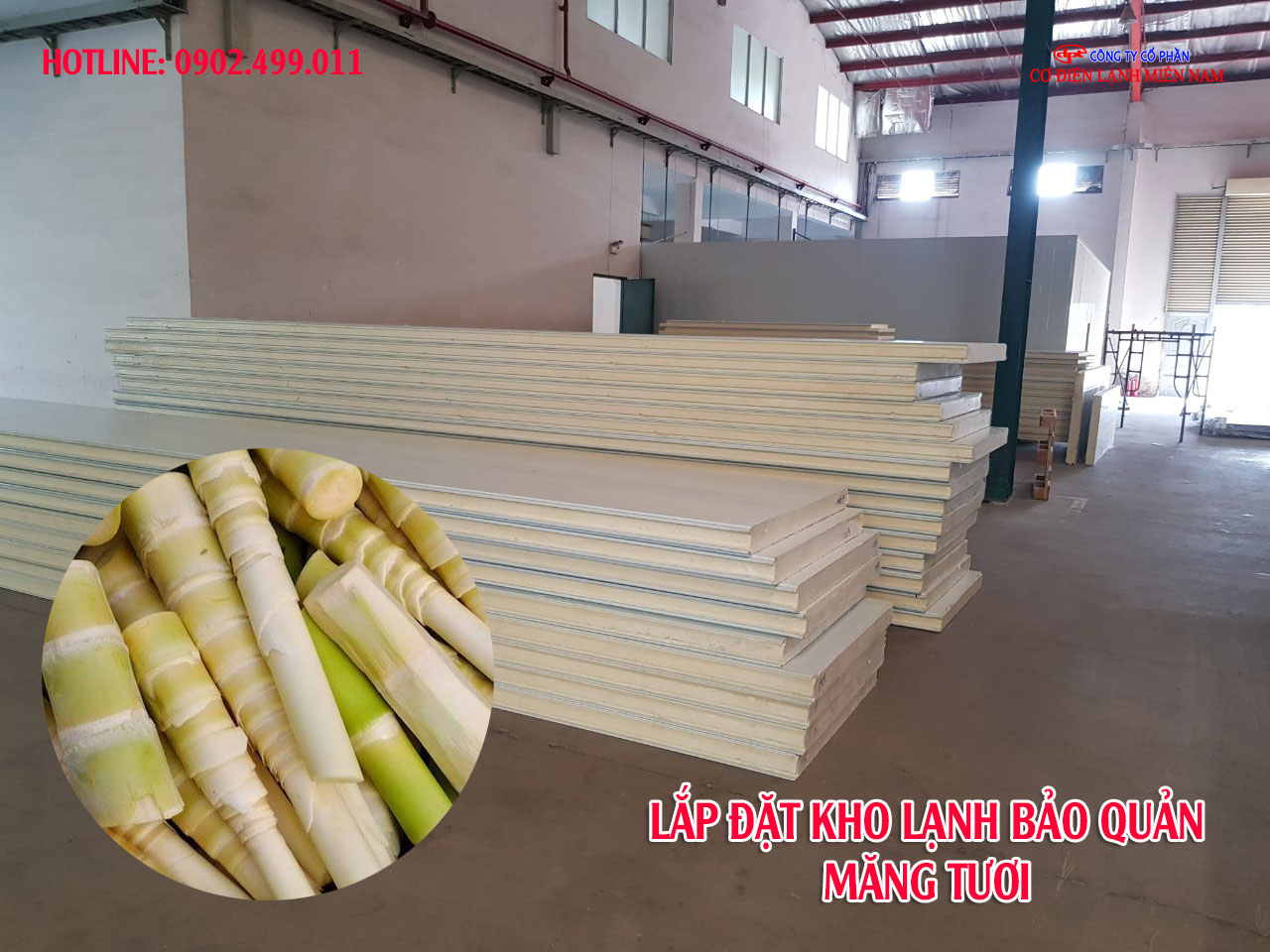 Lắp đặt kho lạnh bảo quản măng tươi xuất khẩu cần chú ý những gì?