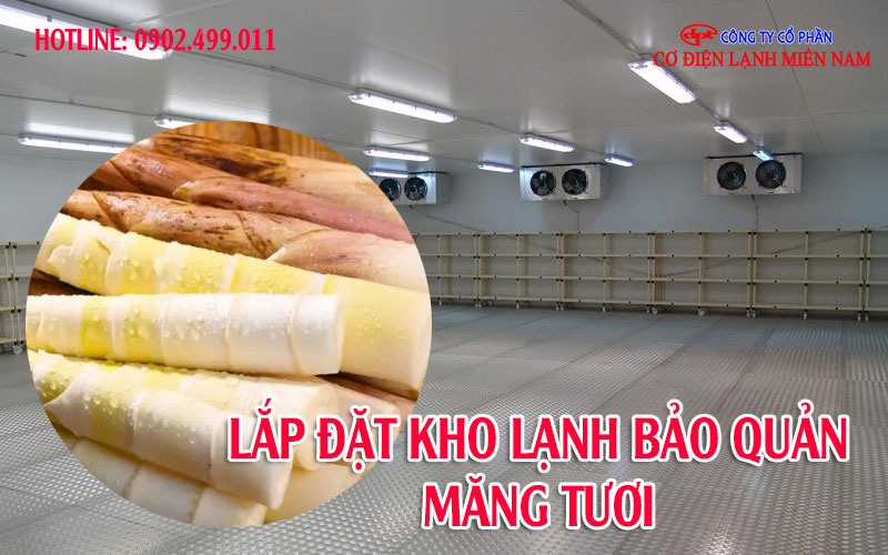 Măng tươi – nông sản tiềm năng xuất khẩu của Việt Nam