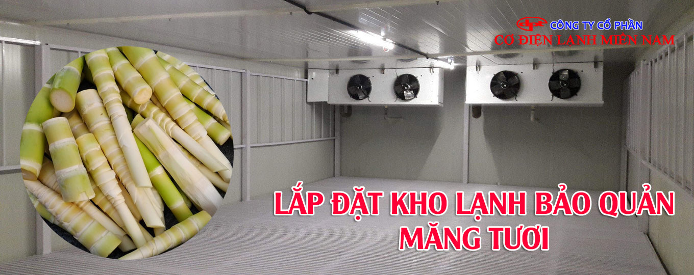 Các sản phẩm sơ chế từ măng tươi