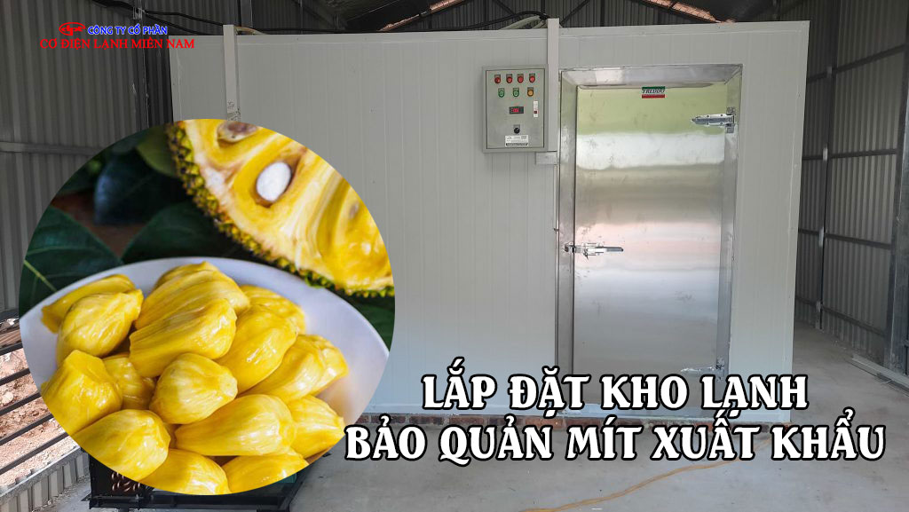 lắp đặt kho lạnh bảo quản Mít xuất khẩu - Hình 1