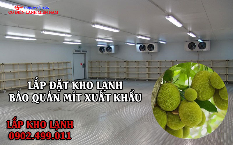 lắp đặt kho lạnh bảo quản Mít xuất khẩu - Hình 2