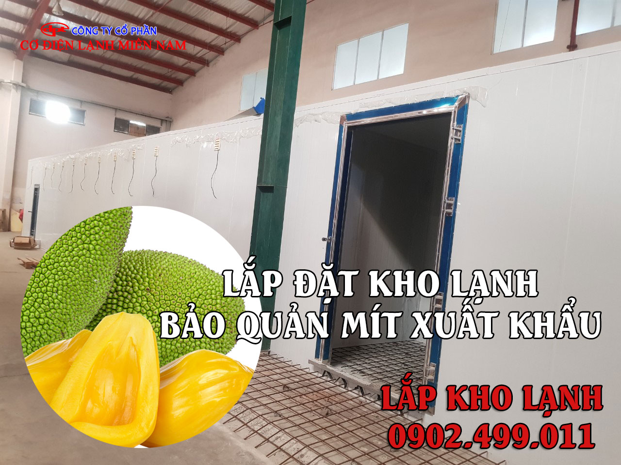 lắp đặt kho lạnh bảo quản Mít xuất khẩu - Hình 3