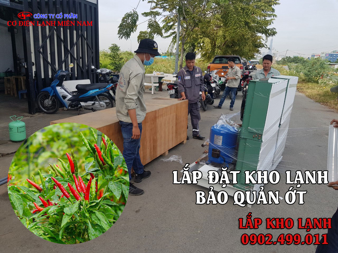 lắp đặt kho lạnh bảo quản Ớt - Hình 2