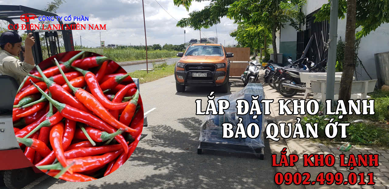 lắp đặt kho lạnh bảo quản Ớt - Hình 4