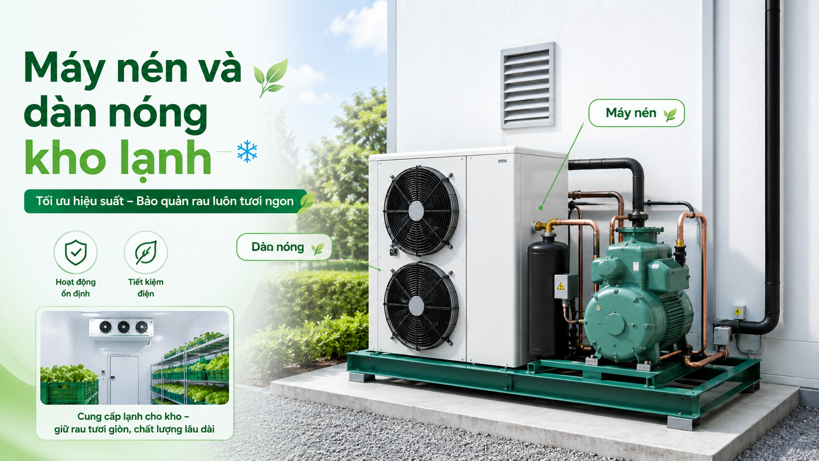 Máy nén và dàn nóng kho lạnh giúp hệ thống bảo quản rau xà lách vận hành ổn định và tiết kiệm điện