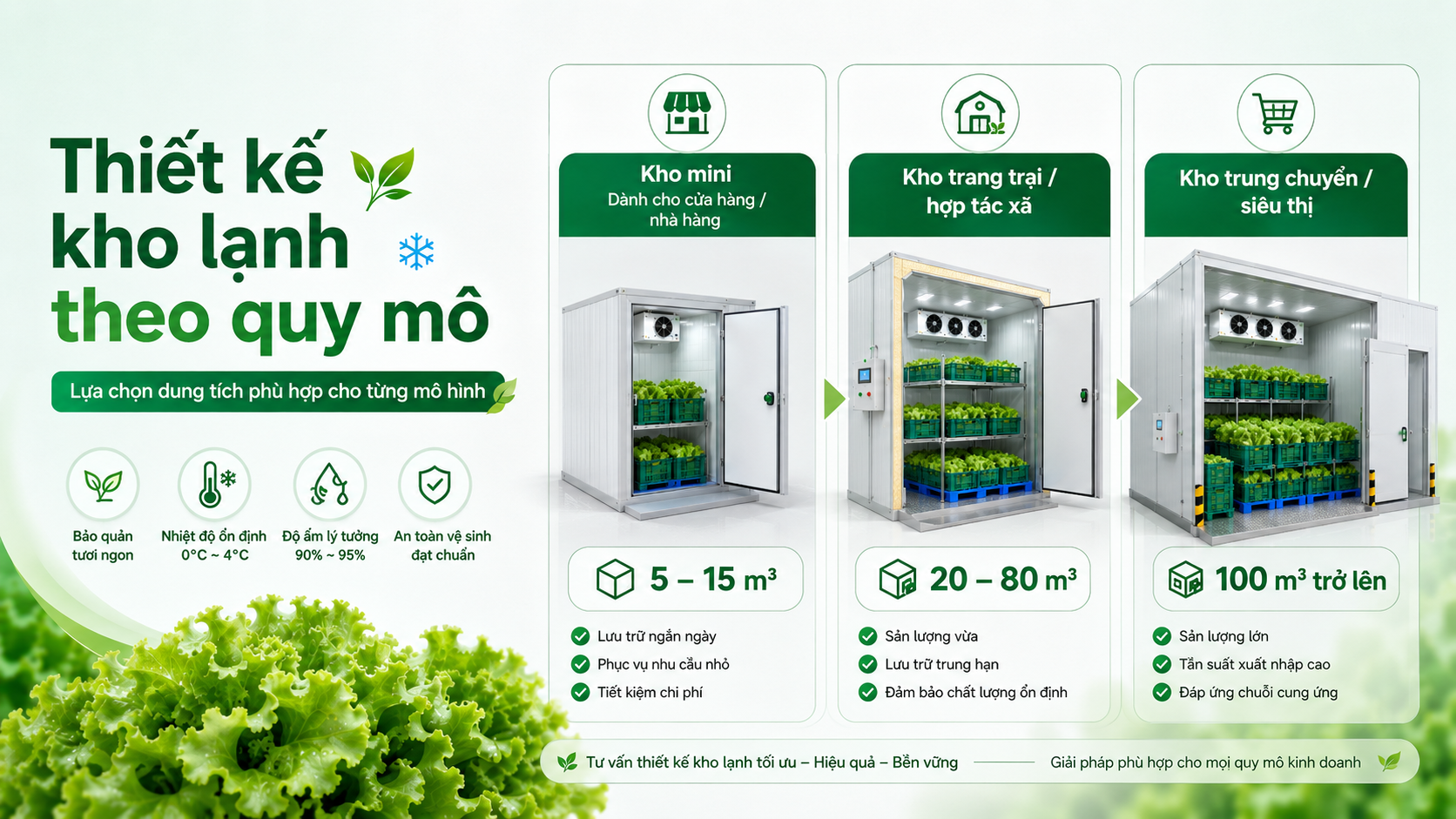 Thiết kế kho lạnh bảo quản rau xà lách theo quy mô kho mini, trang trại và kho trung chuyển