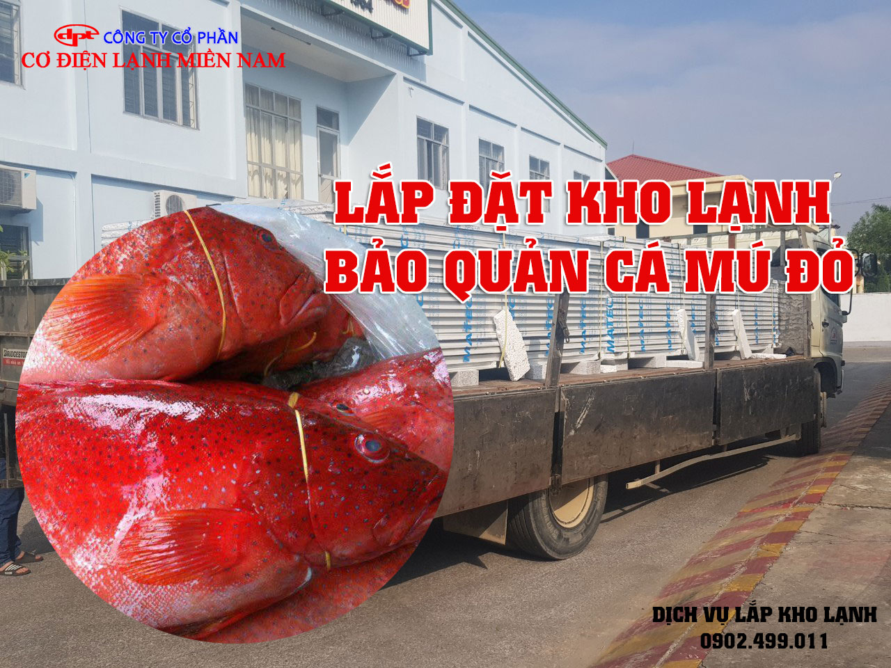 Lắp đặt kho lạnh bảo quản Cá Mú Đỏ - Hình 1