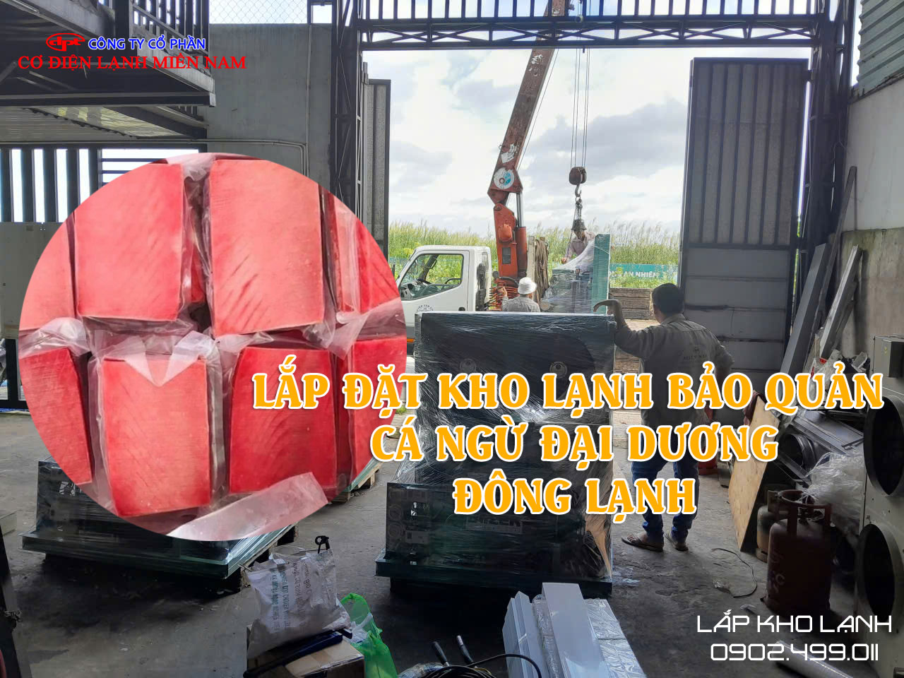 Ảnh Lắp Đặt Kho lạnh bảo quản Cá Ngừ Đại Dương Đông lạnh - Hình 1