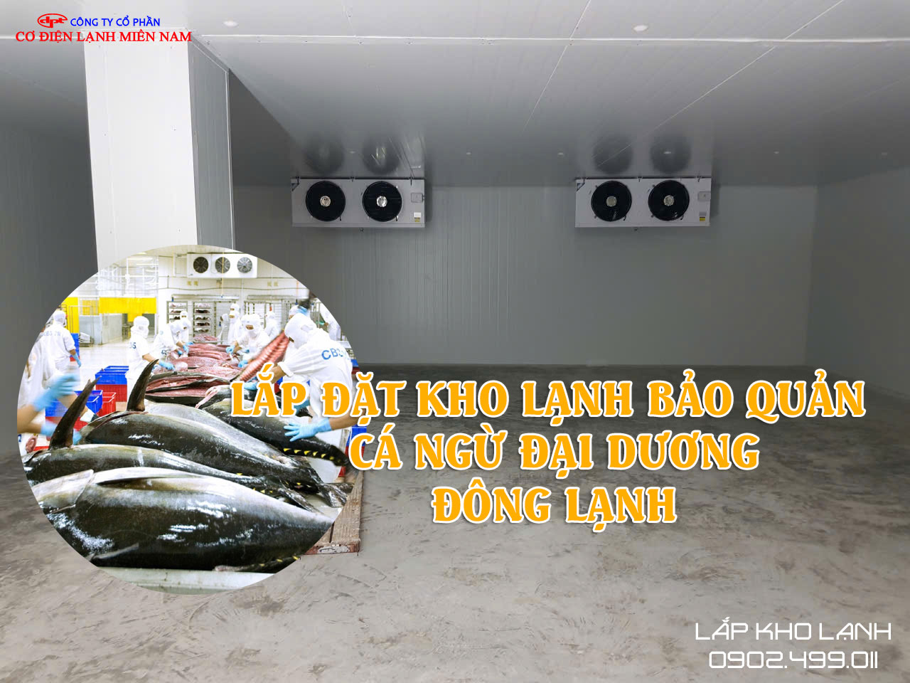 Ảnh Lắp Đặt Kho lạnh bảo quản Cá Ngừ Đại Dương Đông lạnh - Hình 2