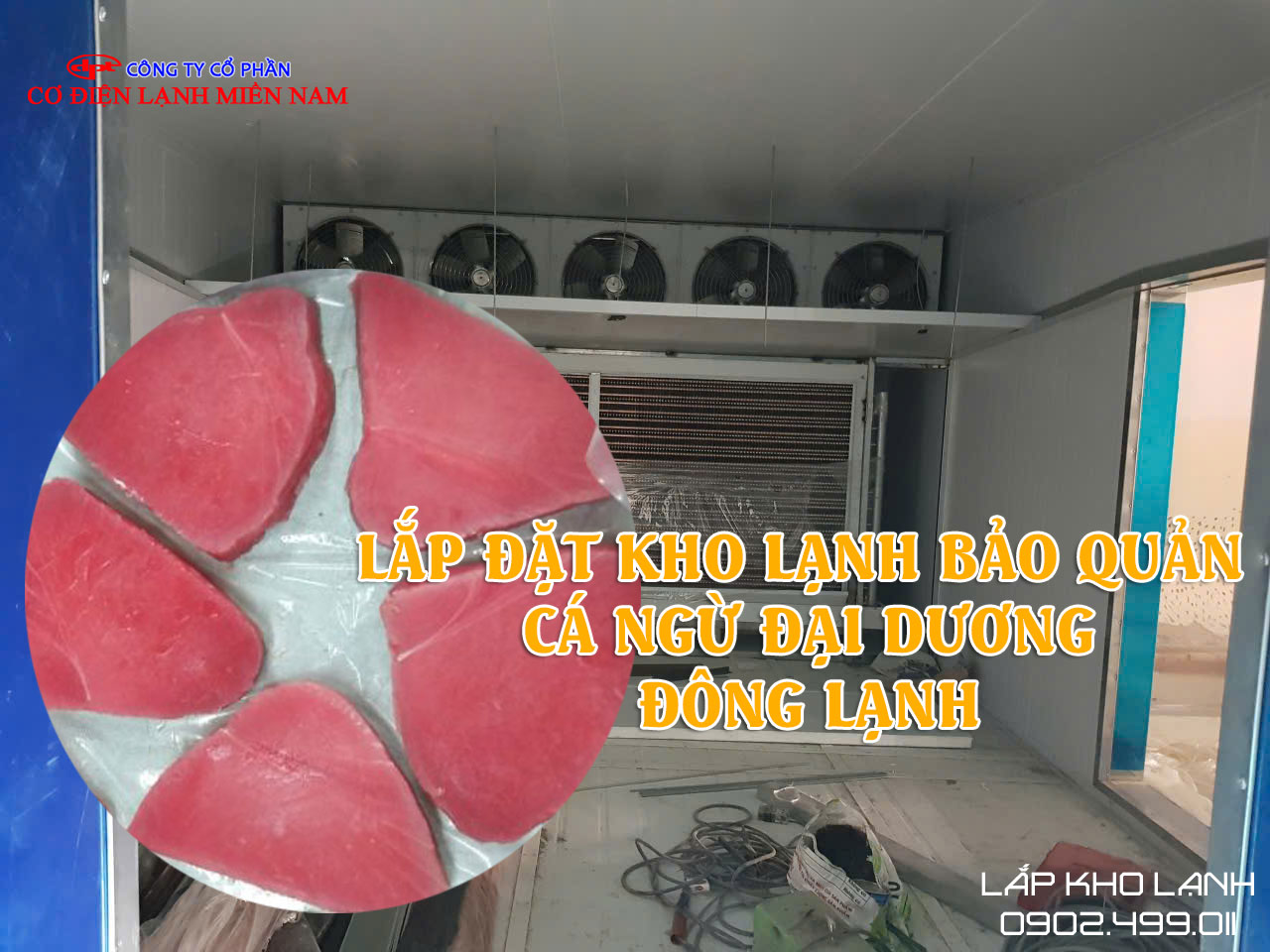 Ảnh Lắp Đặt Kho lạnh bảo quản Cá Ngừ Đại Dương Đông lạnh - Hình 3