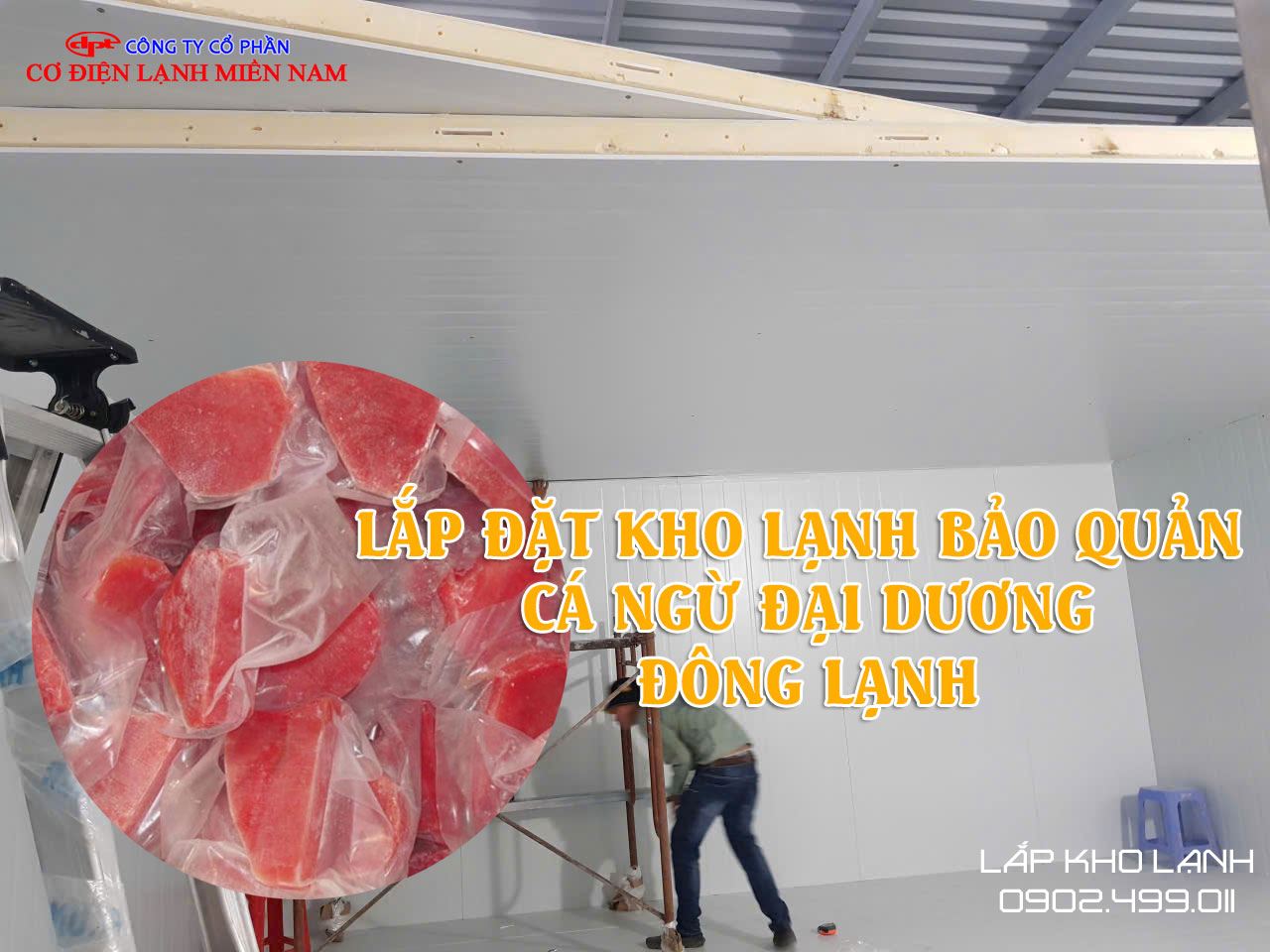 Ảnh Lắp Đặt Kho lạnh bảo quản Cá Ngừ Đại Dương Đông lạnh - Hình 4