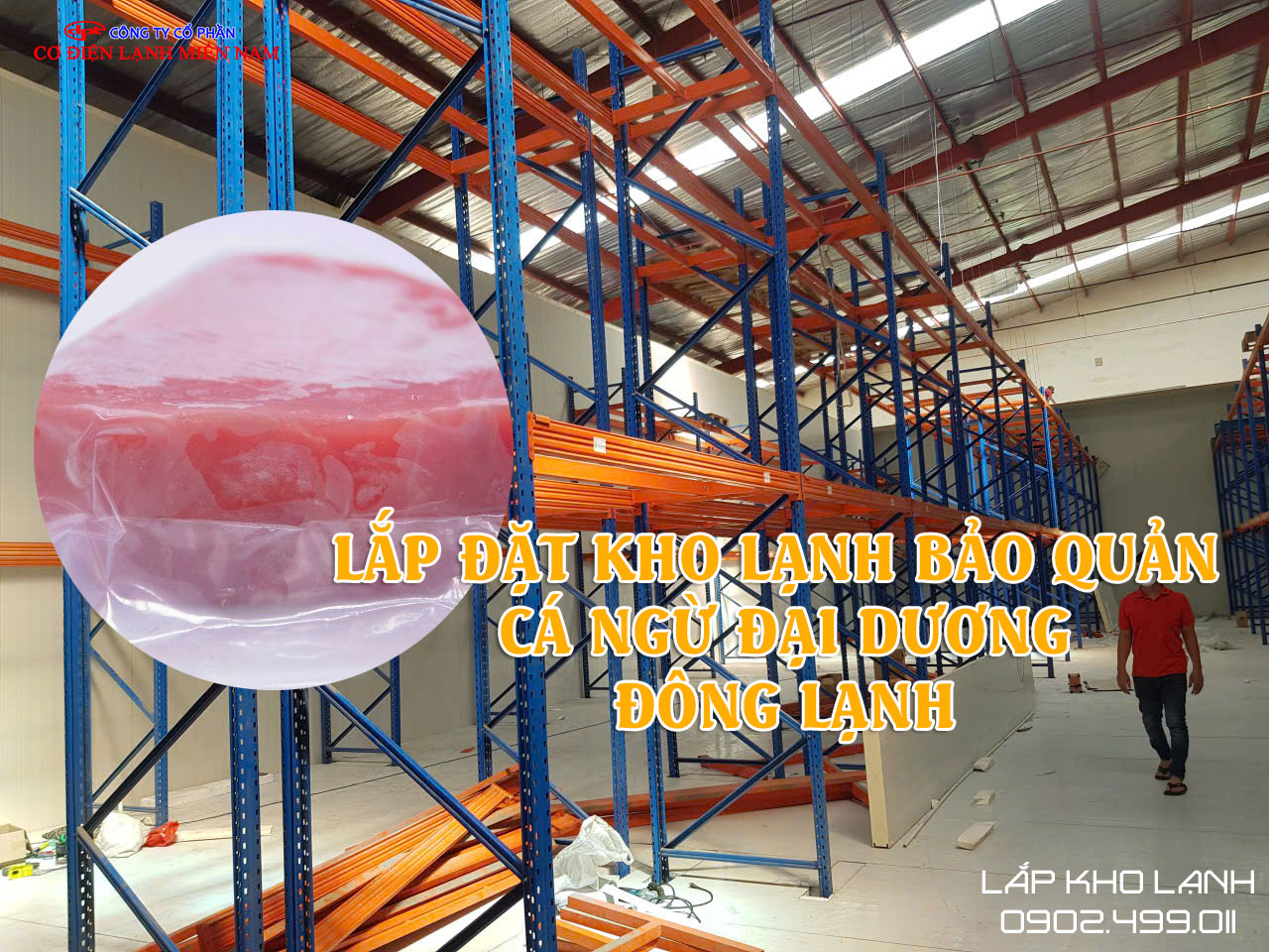 Ảnh Lắp Đặt Kho lạnh bảo quản Cá Ngừ Đại Dương Đông lạnh - Hình 5