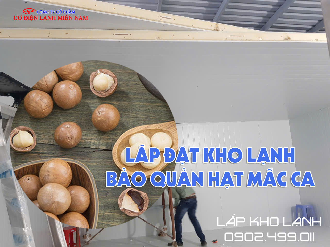 Hình ảnh kho lạnh bảo quản Hạt Mắc Ca Cấp Đông - Hình 4