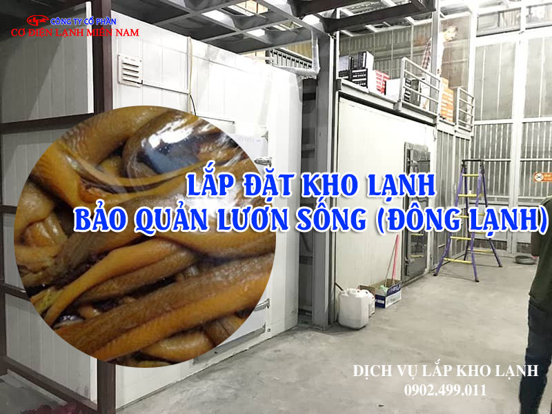 Dịch vụ Lắp đặt kho lạnh bảo quản Lươn Sống (Đông Lạnh) Xuất khẩu - Hình 1