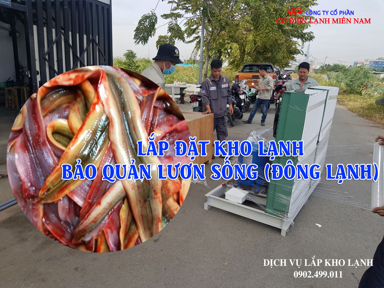 Dịch vụ Lắp đặt kho lạnh bảo quản Lươn Sống (Đông Lạnh) Xuất khẩu - Hình 2