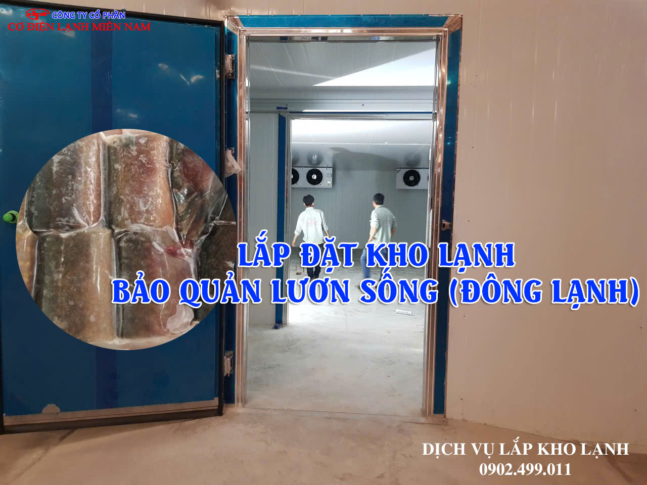 Dịch vụ Lắp đặt kho lạnh bảo quản Lươn Sống (Đông Lạnh) Xuất khẩu - Hình 3