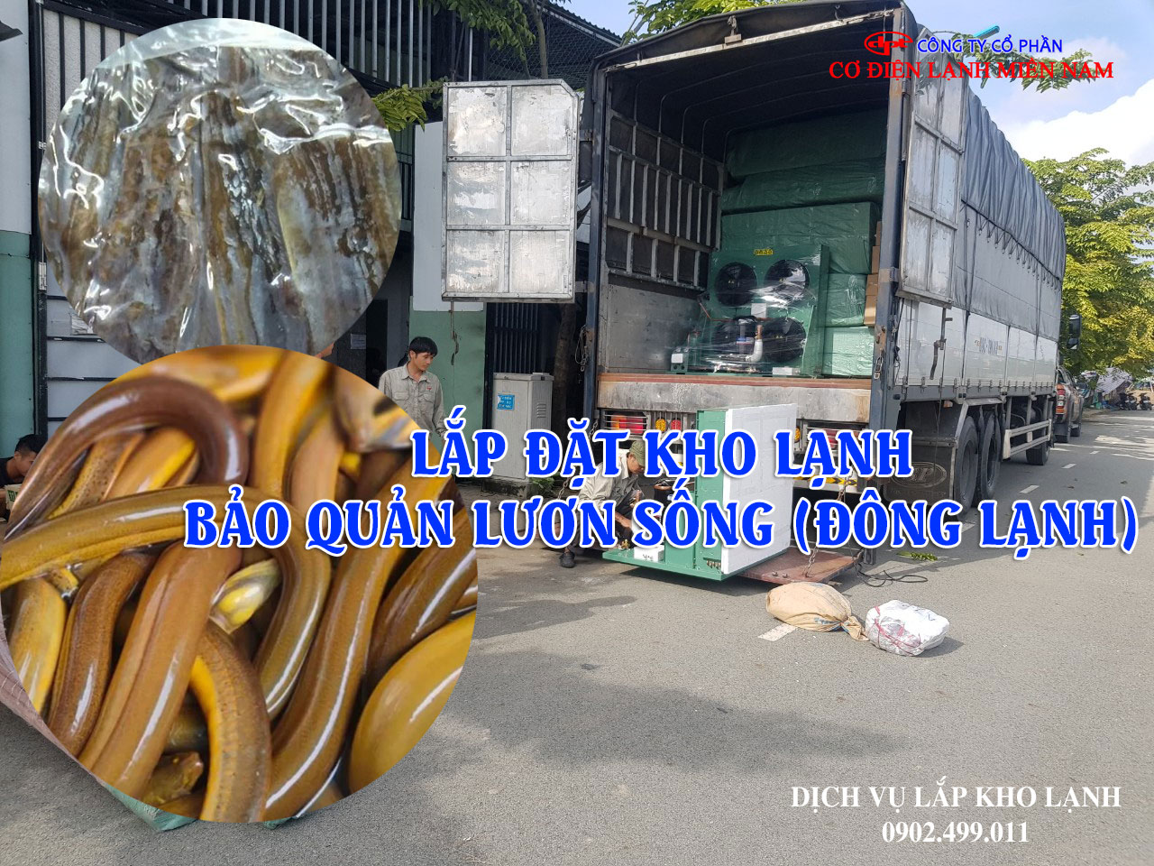 Dịch vụ Lắp đặt kho lạnh bảo quản Lươn Sống (Đông Lạnh) Xuất khẩu - Hình 4