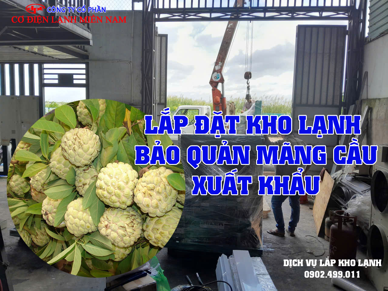 Lắp đặt kho lạnh bảo quản Mãng Cầu xuất khẩu - Hình 2