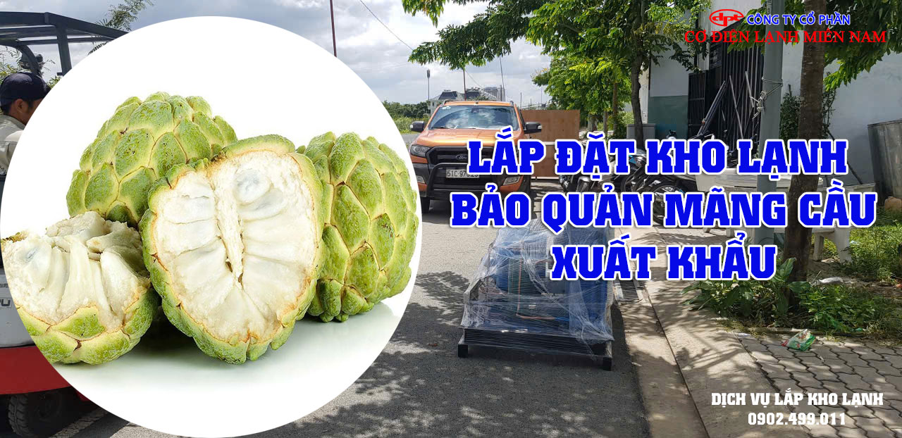 Lắp đặt kho lạnh bảo quản Mãng Cầu xuất khẩu - Hình 3
