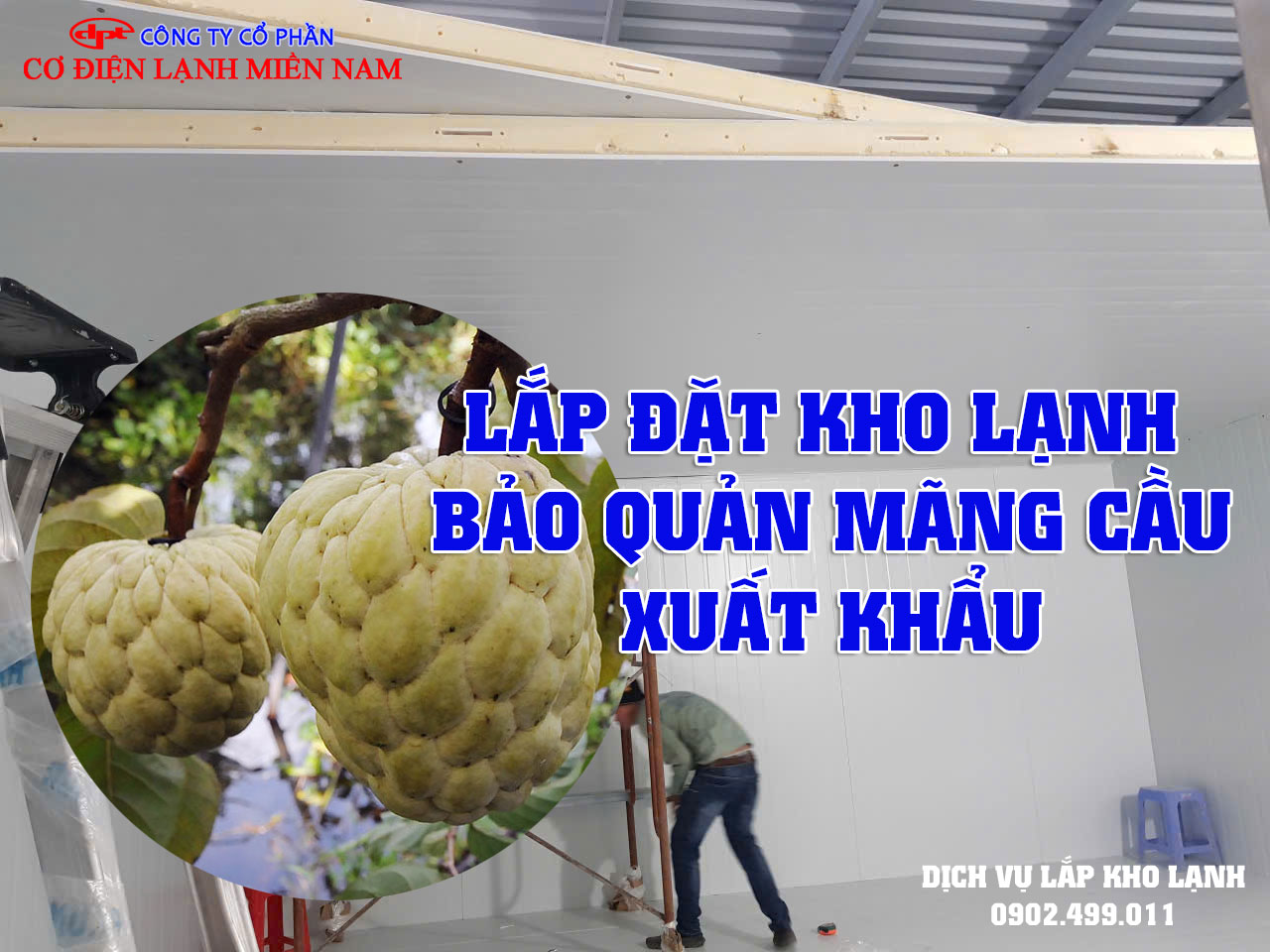 Lắp đặt kho lạnh bảo quản Mãng Cầu xuất khẩu - Hình 4