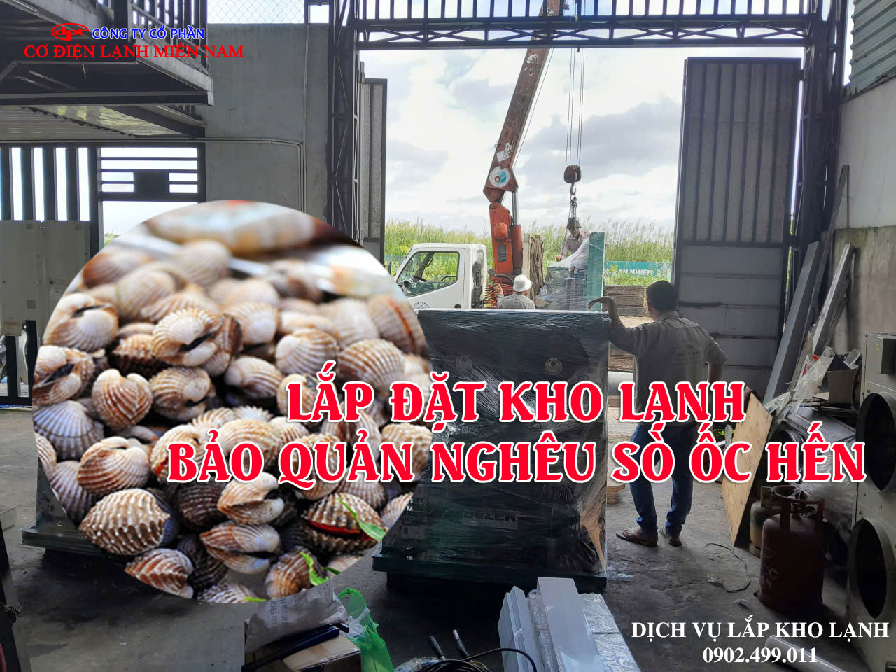 Dịch vụ lắp đặt kho lạnh bảo quản Nghêu Sò Ốc Hến - Hình 1