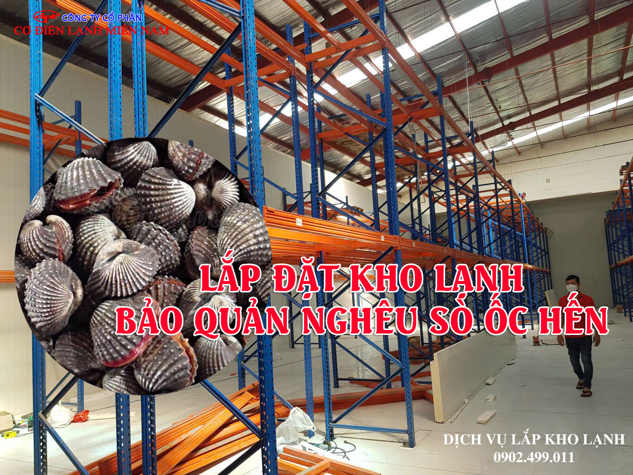 Dịch vụ lắp đặt kho lạnh bảo quản Nghêu Sò Ốc Hến - Hình 3