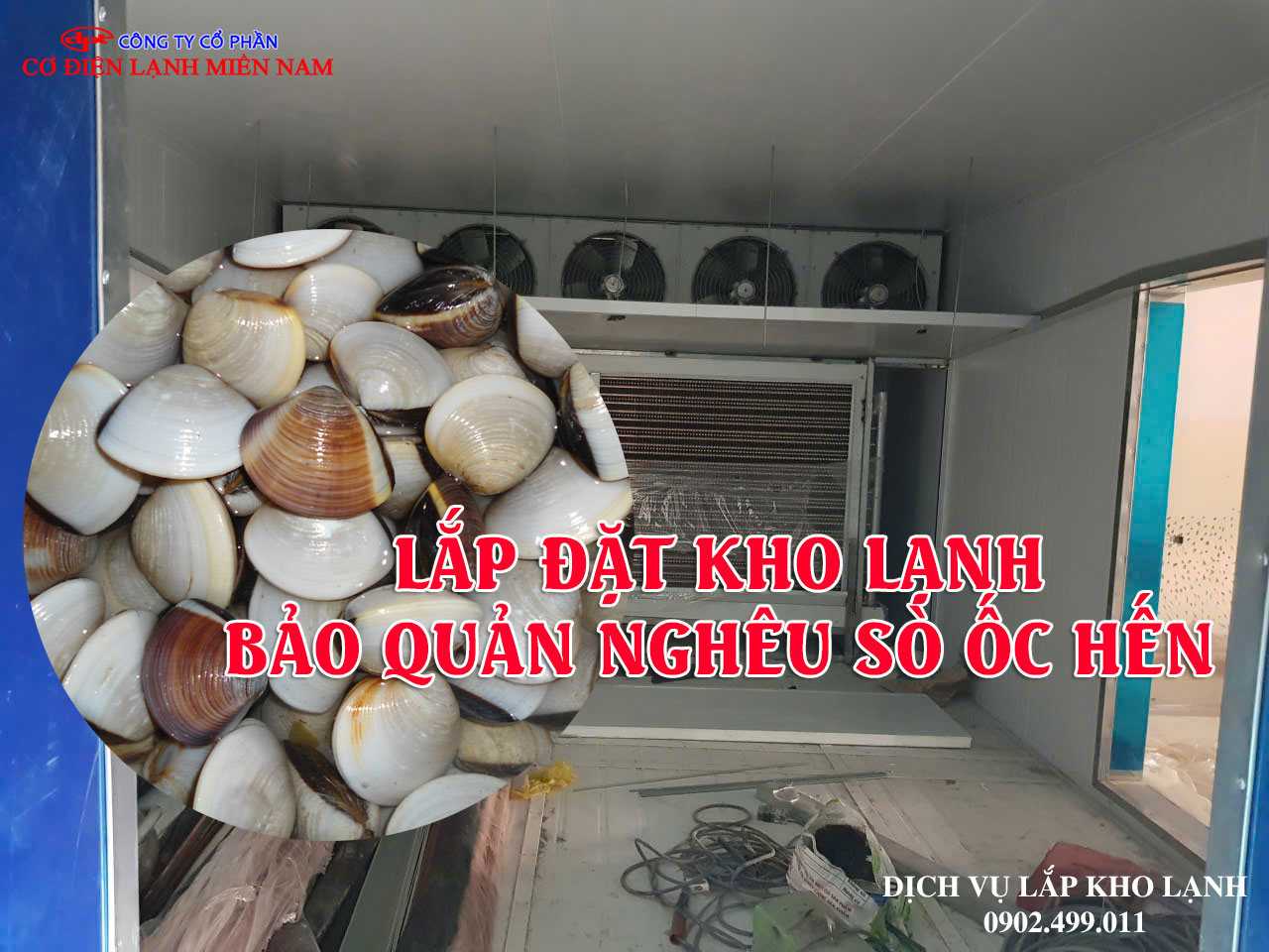 Dịch vụ lắp đặt kho lạnh bảo quản Nghêu Sò Ốc Hến - Hình