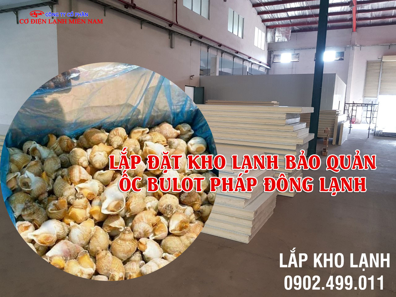Dịch vụ Lắp đặt kho lạnh bảo quản Ốc Bulot Pháp đông lạnh - Hình 1