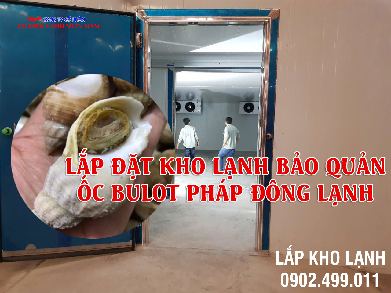 Dịch vụ Lắp đặt kho lạnh bảo quản Ốc Bulot Pháp đông lạnh - Hình 4