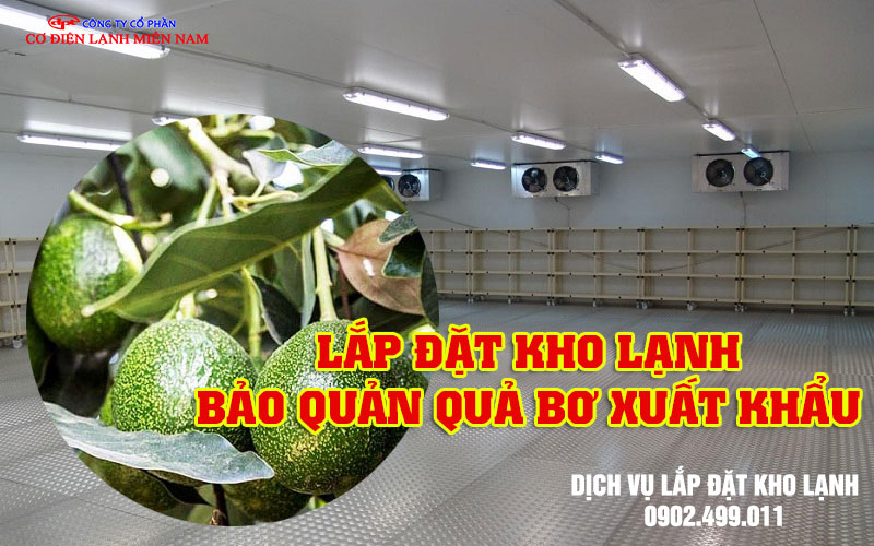 Lắp đặt kho lạnh bảo quản quả Bơ xuất khẩu- Hình 1