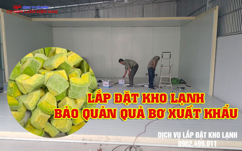 Lắp đặt kho lạnh bảo quản quả Bơ xuất khẩu- Hình 2