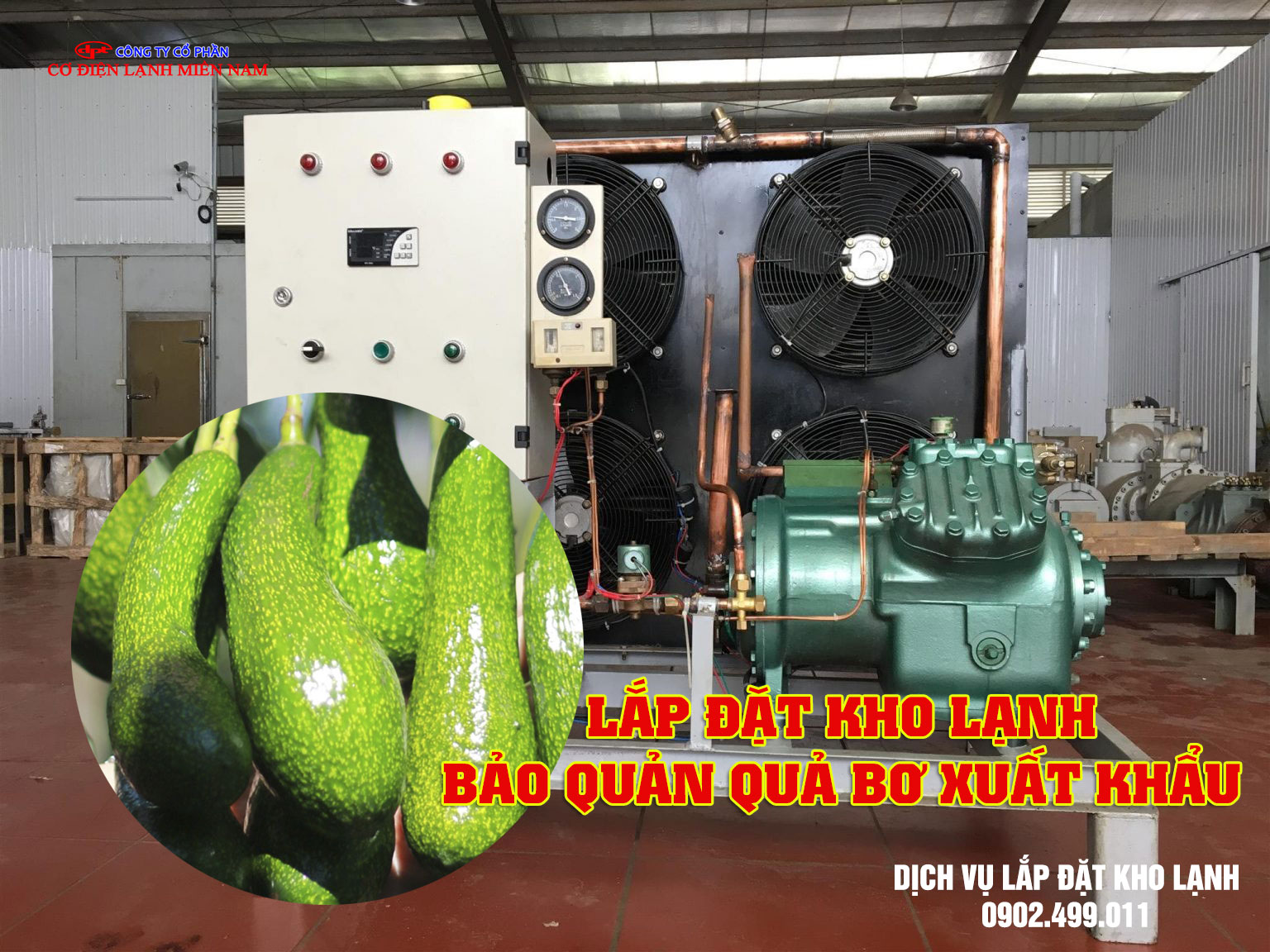 Lắp đặt kho lạnh bảo quản quả Bơ xuất khẩu- Hình 4