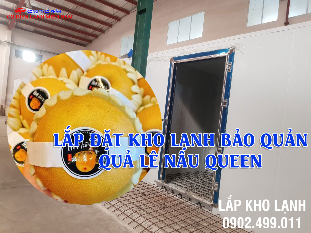 Dịch vụ Lắp đặt kho lạnh bảo quản Quả Lê Nâu Queen - Hình 1