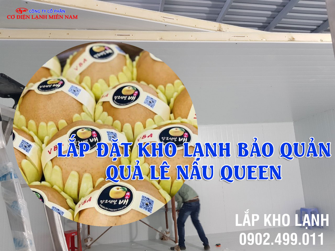 Dịch vụ Lắp đặt kho lạnh bảo quản Quả Lê Nâu Queen - Hình 2