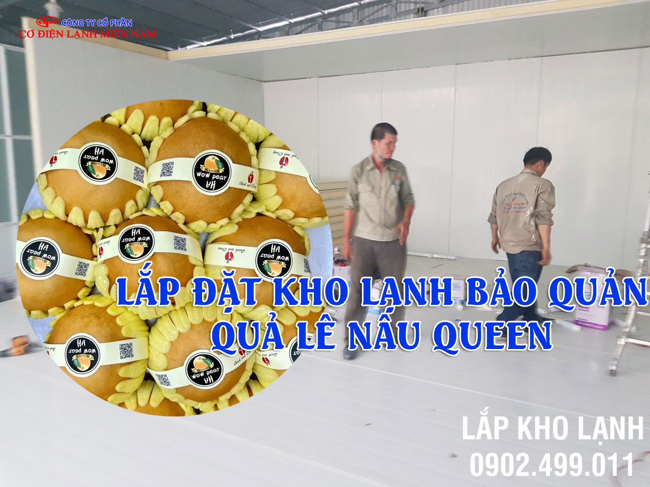 Dịch vụ Lắp đặt kho lạnh bảo quản Quả Lê Nâu Queen - Hình 3