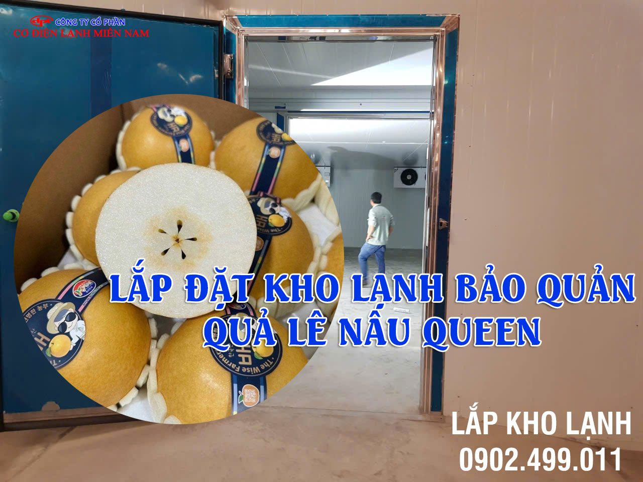 Dịch vụ Lắp đặt kho lạnh bảo quản Quả Lê Nâu Queen - Hình 4