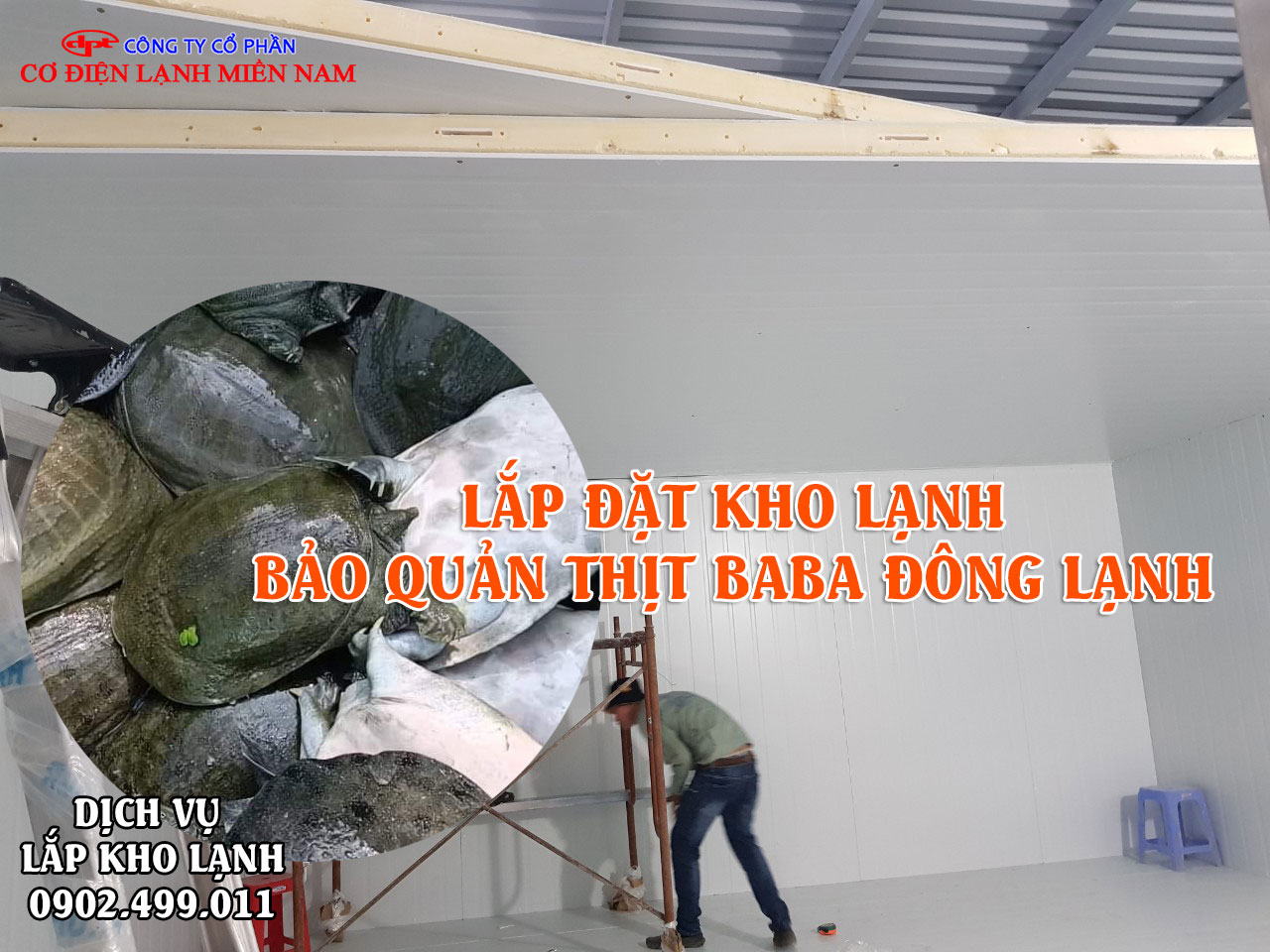 Dịch vụ lắp đặt kho lạnh bảo quản thịt Ba Ba tươi đông lạnh - Hình 1