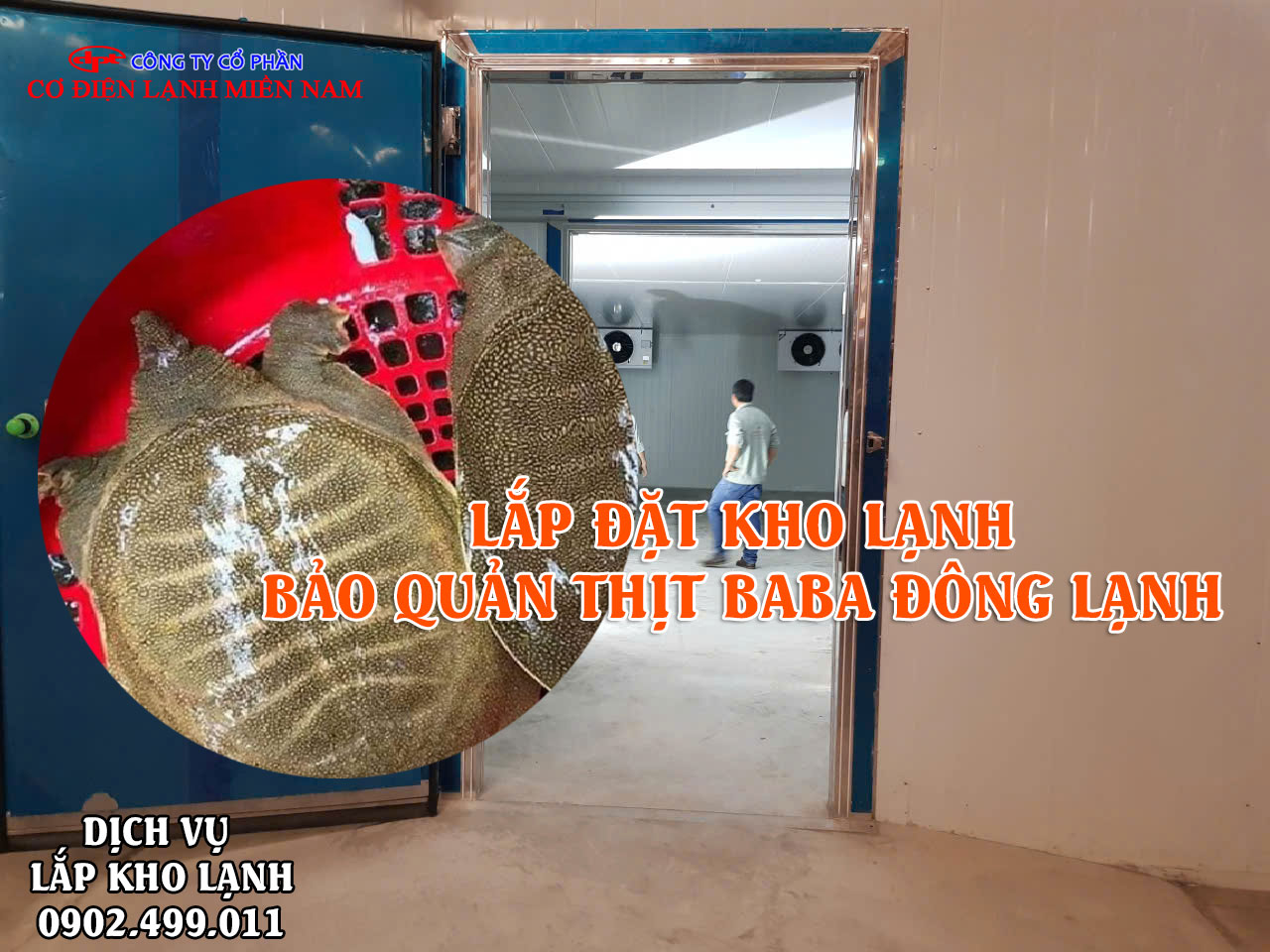 Dịch vụ lắp đặt kho lạnh bảo quản thịt Ba Ba tươi đông lạnh - Hình 2