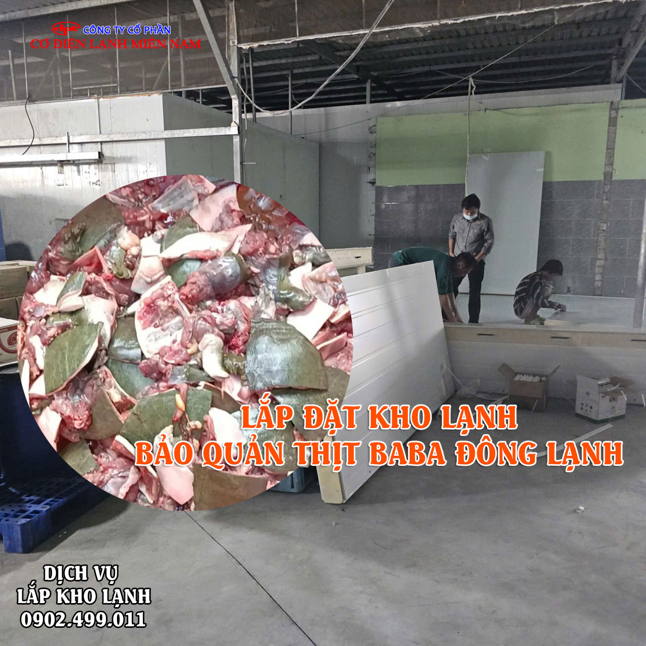 Dịch vụ lắp đặt kho lạnh bảo quản thịt Ba Ba tươi đông lạnh - Hình 3