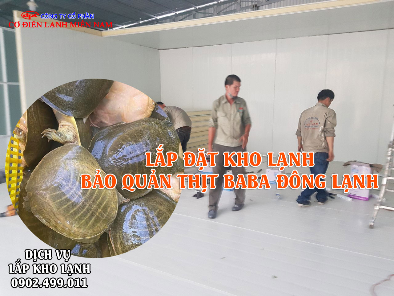 Dịch vụ lắp đặt kho lạnh bảo quản thịt Ba Ba tươi đông lạnh - Hình 4