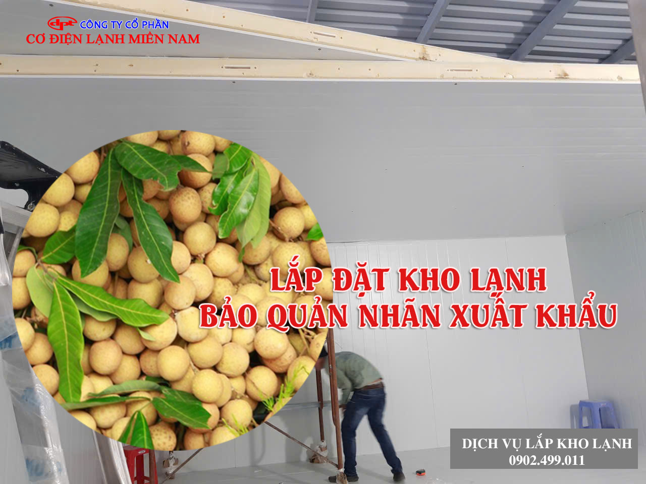 Lắp đặt kho lạnh bảo quản nhãn xuất khẩu - Hình 1