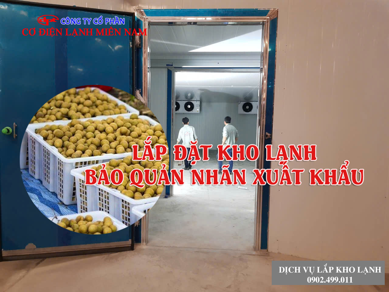 Lắp đặt kho lạnh bảo quản nhãn xuất khẩu - Hình 4