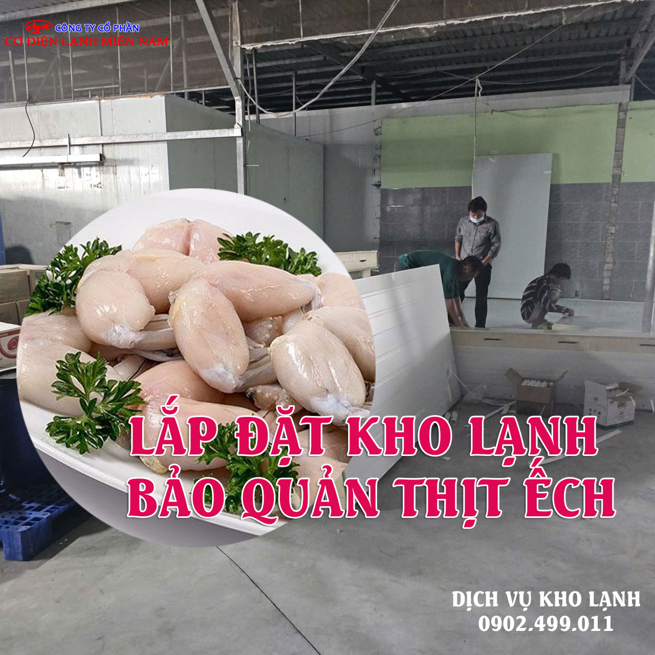 Lắp đặt kho lạnh bảo quản thịt Ếch - Hình 3
