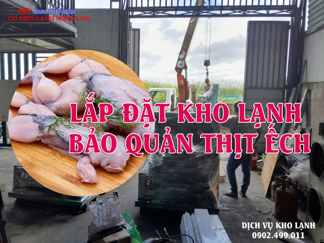 Lắp đặt kho lạnh bảo quản thịt Ếch - Hình 4
