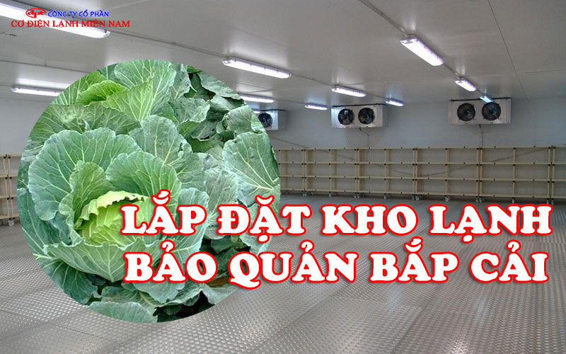 Lắp Đặt Kho Lạnh Bảo Quản Bắp Cải - Hình 1